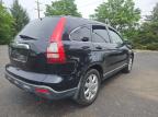 2007 HONDA CR-V EXL   à vendre chez Copart OH - COLUMBUS