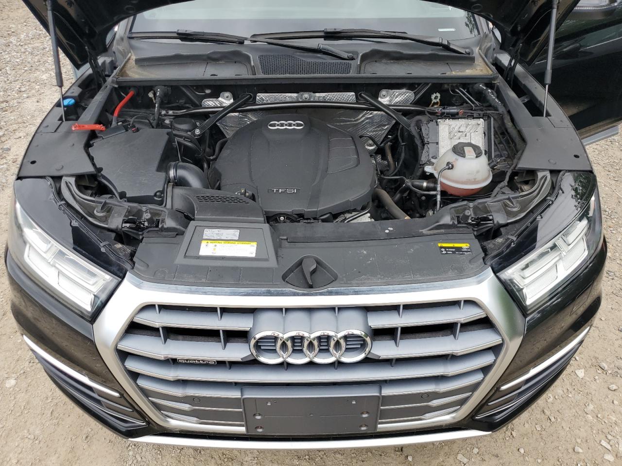 2018 Audi Q5 Premium Plus VIN: WA1BNAFY7J2095069 Lot: 64562095