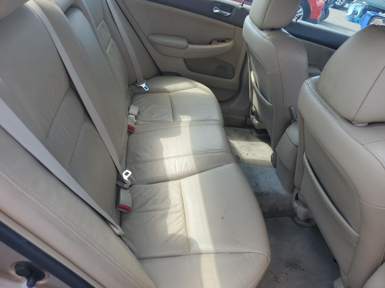 2005 Honda Accord Ex VIN: 1HGCM66595A055699 Lot: 64200845