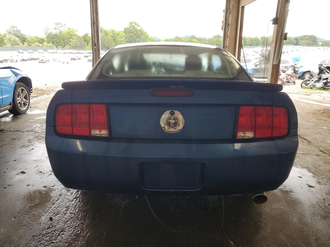 2006 Ford Mustang VIN: 1ZVFT80N665132619 Lot: 65228095