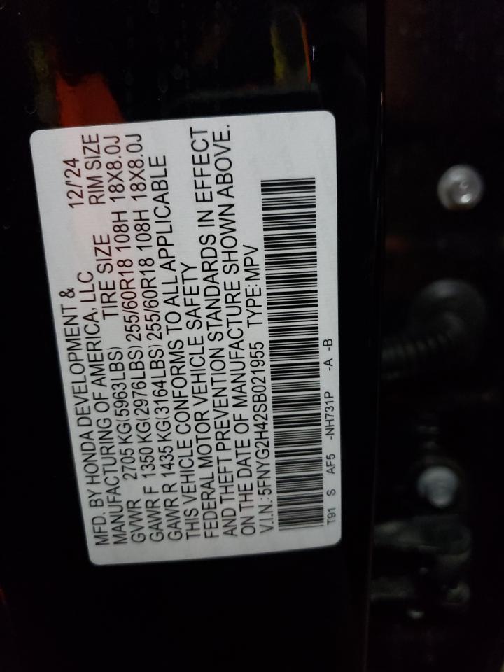 2025 Honda Pilot Exl VIN: 5FNYG2H42SB021955 Lot: 65659705