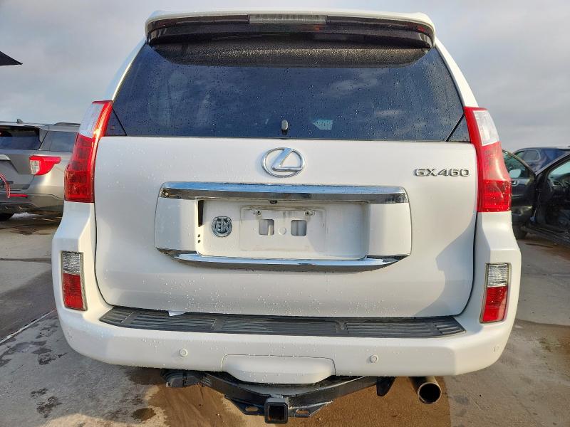 Parquets LEXUS GX 2013 Biały