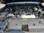 2024 TOYOTA TACOMA DOUBLE CAB   for sale at Copart NJ - SOMERVILLE