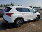 2023 HYUNDAI SANTA FE LIMITED   à vendre chez Copart ON - TORONTO