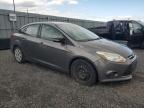 2014 FORD FOCUS SE   à vendre chez Copart ON - OTTAWA
