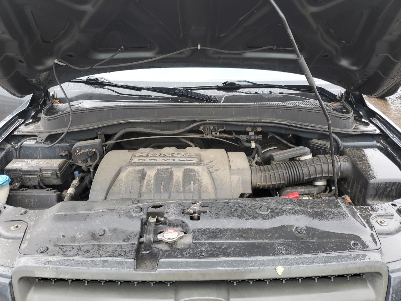 2005 Honda Pilot Exl VIN: 2HKYF18595H001035 Lot: 64969905