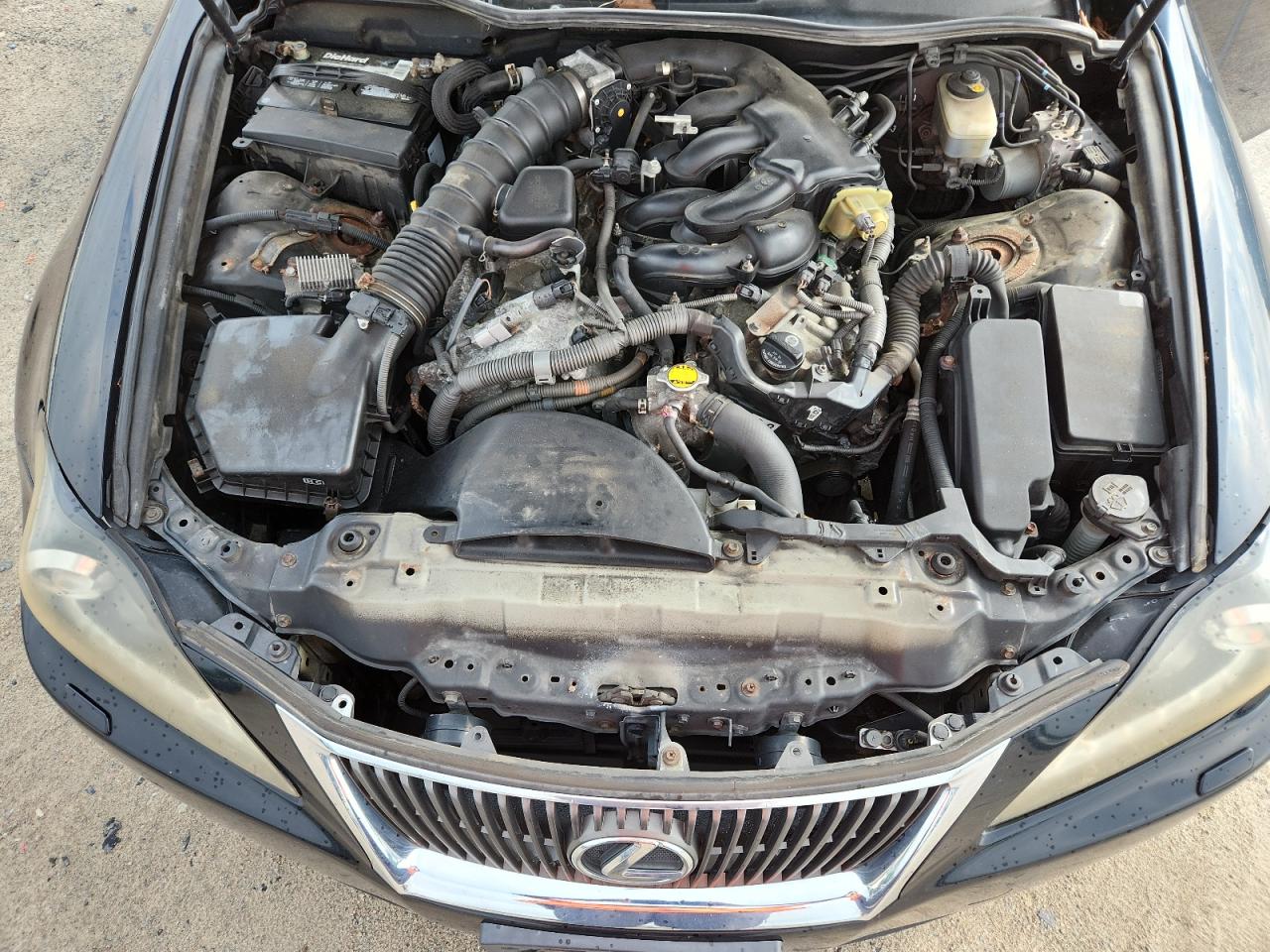 2009 Lexus Is 250 VIN: JTHCK262995032410 Lot: 64284055