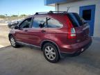 2008 HONDA CR-V EX à vendre chez Copart FL - WEST PALM BEACH