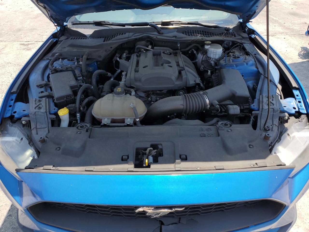 2019 Ford Mustang VIN: 1FA6P8TH8K5125572 Lot: 64227465