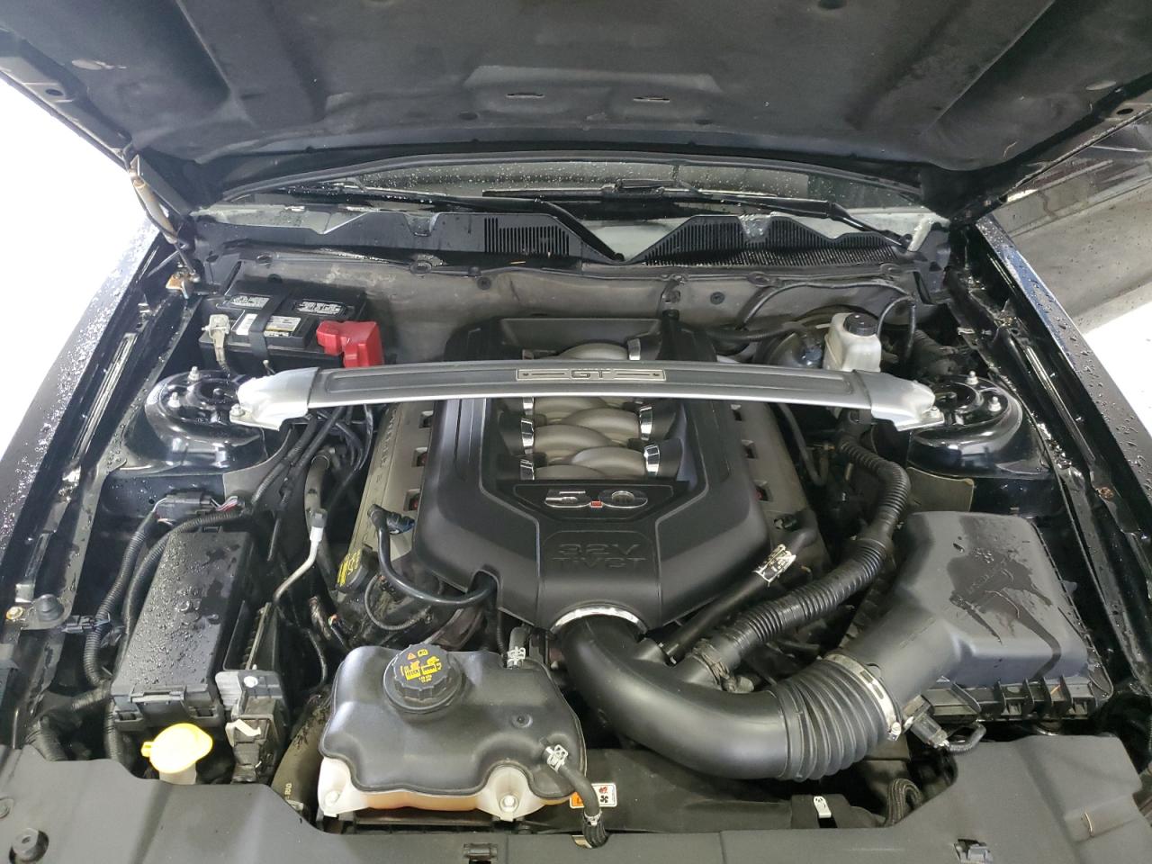 2013 Ford Mustang Gt VIN: 1ZVBP8CF4D5247062 Lot: 63458555