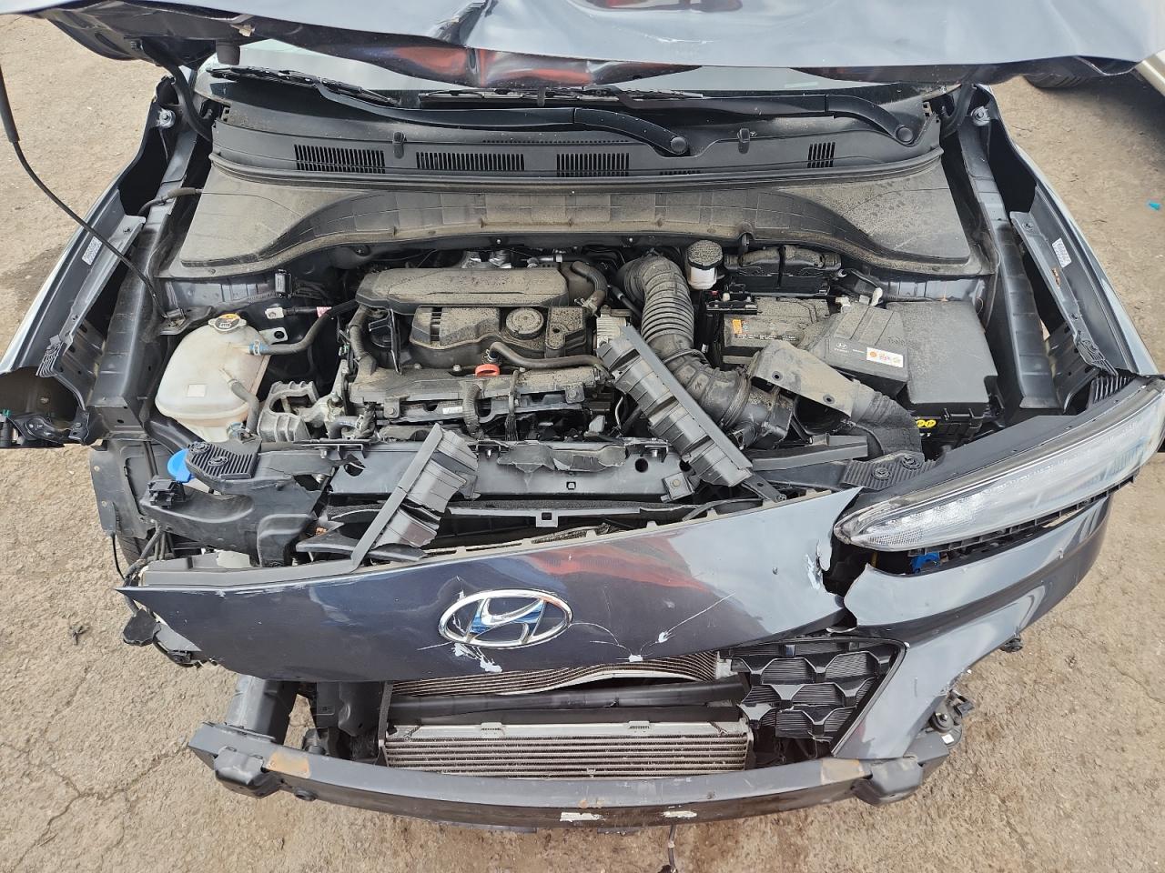 2022 Hyundai Kona Limited VIN: KM8K5CA35NU823636 Lot: 64798865