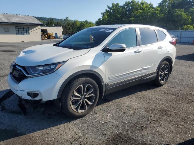  HONDA CRV 2022 Biały