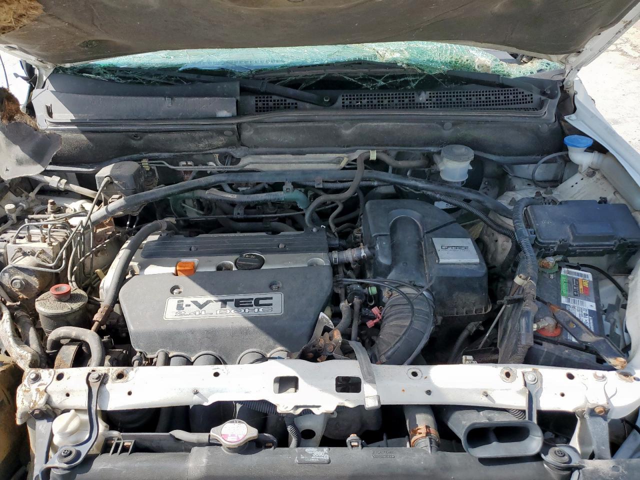 2003 Honda Cr-V Ex VIN: SHSRD78823U157123 Lot: 64925455