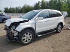 2009 HONDA CR-V EXL   for sale at Copart ON - COOKSTOWN