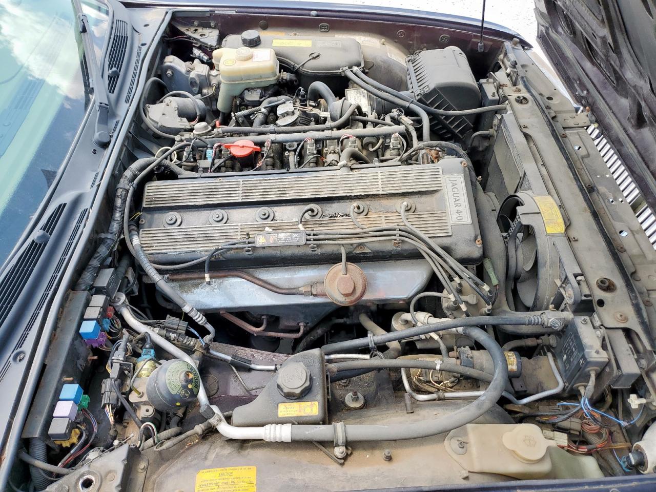 1993 Jaguar Xj6 Vanden Plas VIN: SAJKW174XPC681929 Lot: 63790895