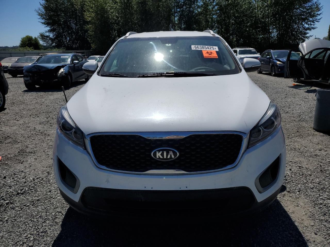 2017 Kia Sorento Lx VIN: 5XYPG4A59HG195324 Lot: 66385425