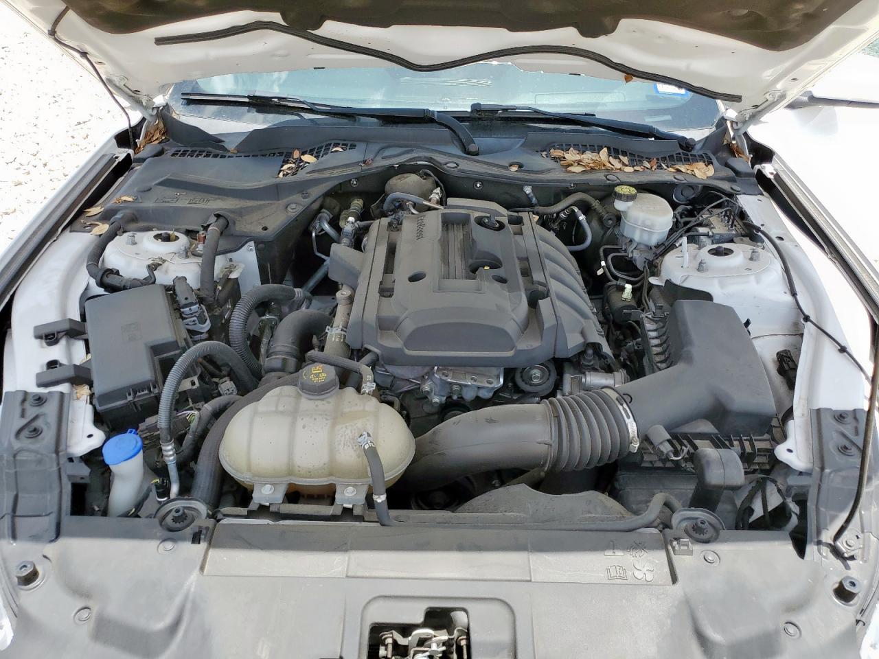 2020 Ford Mustang VIN: 1FA6P8TH9L5130281 Lot: 63022235