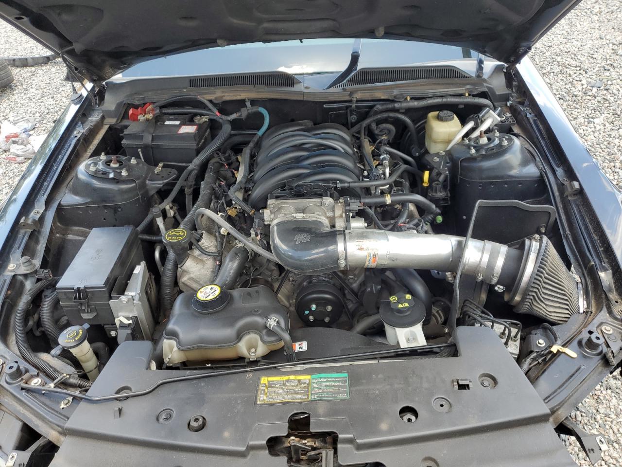 2006 Ford Mustang Gt VIN: 1ZVHT82H465191958 Lot: 65255415