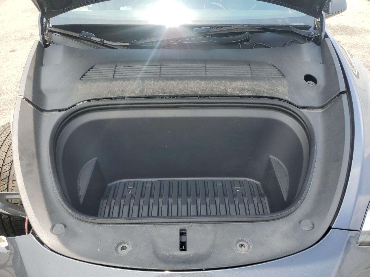 2023 Tesla Model Y VIN: 7SAYGDEEXPA065394 Lot: 65344255