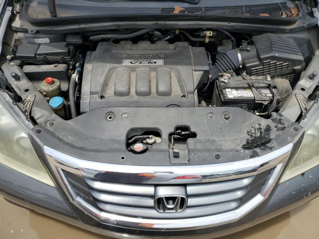2010 Honda Odyssey Exl VIN: 5FNRL3H69AB061388 Lot: 63563165