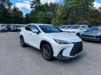 2022 LEXUS NX 250   for sale at Copart MA - NORTH BOSTON