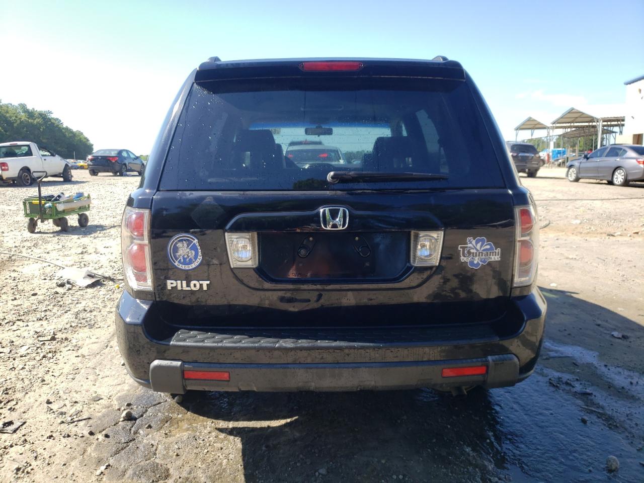 2006 Honda Pilot Ex VIN: 5FNYF28626B029659 Lot: 64386265