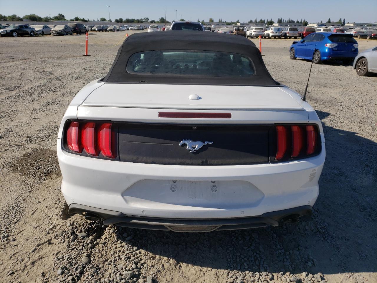 2019 Ford Mustang VIN: 1FATP8UH5K5126261 Lot: 64970445