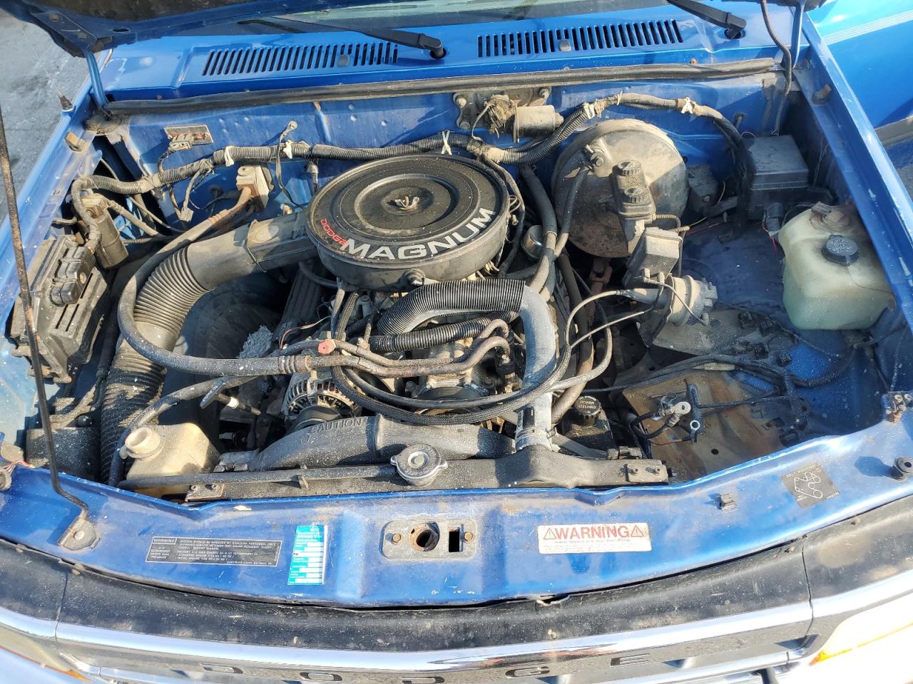 1992 Dodge Dakota VIN: 1B7GL23Y6NS585763 Lot: 64827975
