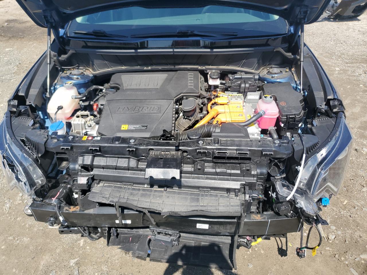 2023 Kia Niro Ex VIN: KNDCR3LEXP5091125 Lot: 65137295