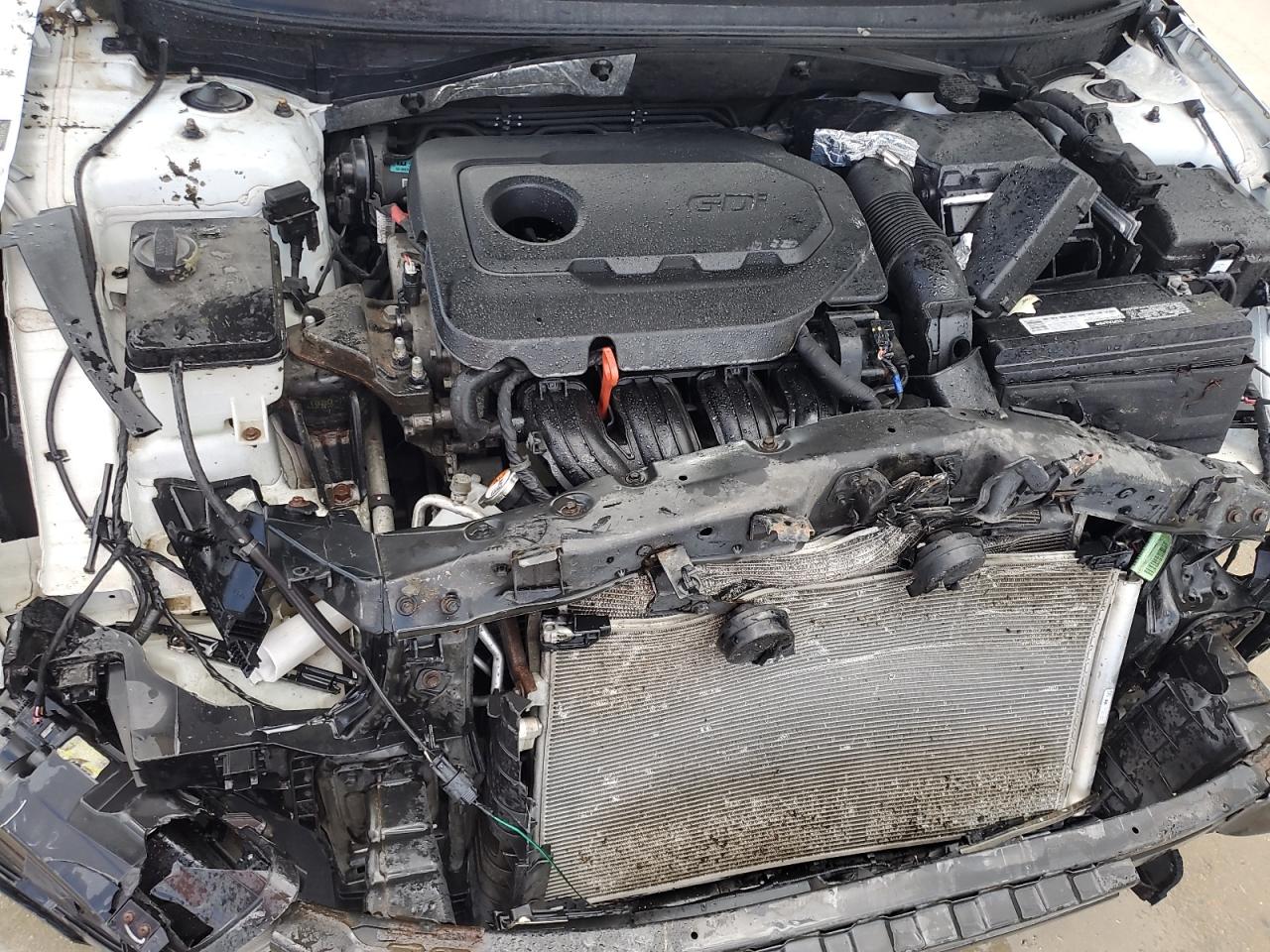 2016 Hyundai Sonata Se VIN: 5NPE24AF4GH354529 Lot: 63210835