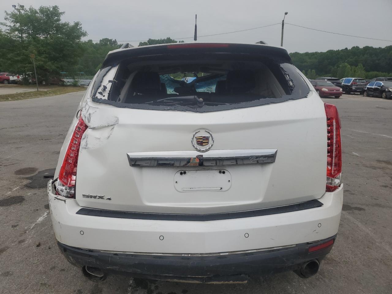 2010 Cadillac Srx Luxury Collection VIN: 3GYFNDEYXAS560212 Lot: 63697735
