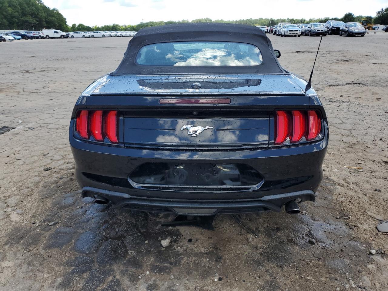 2021 Ford Mustang VIN: 1FATP8UH6M5120665 Lot: 66462845