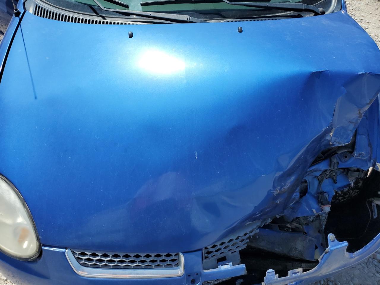 2005 Dodge Neon Sxt VIN: 1B3ES56C35D216487 Lot: 64118345