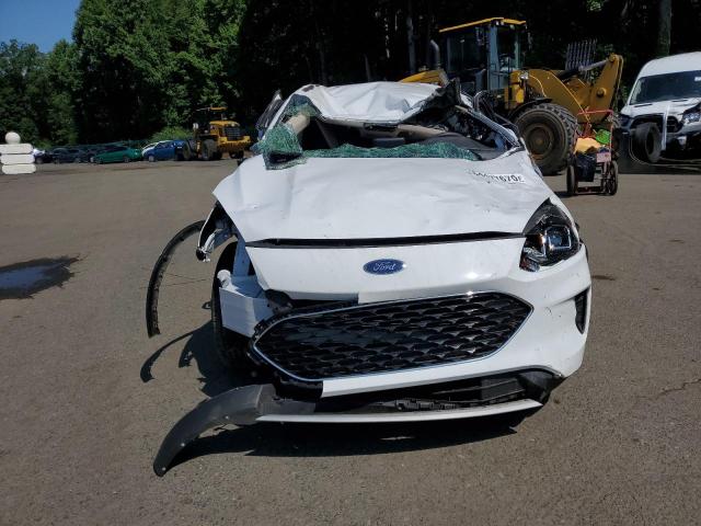  FORD ESCAPE 2020 Белы