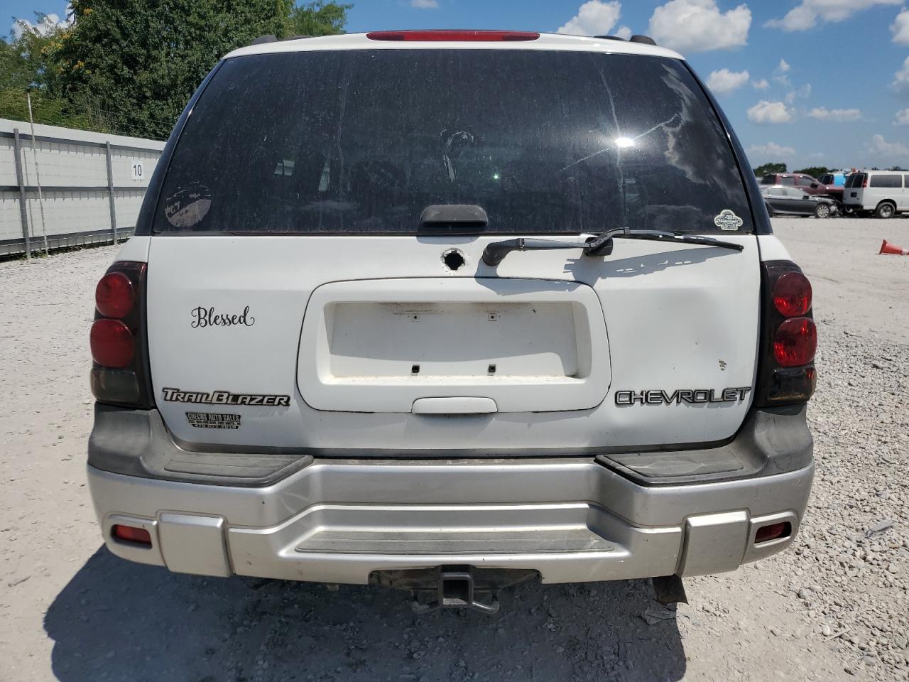 2004 Chevrolet Trailblazer Ls VIN: 1GNDT13S842319496 Lot: 65891925