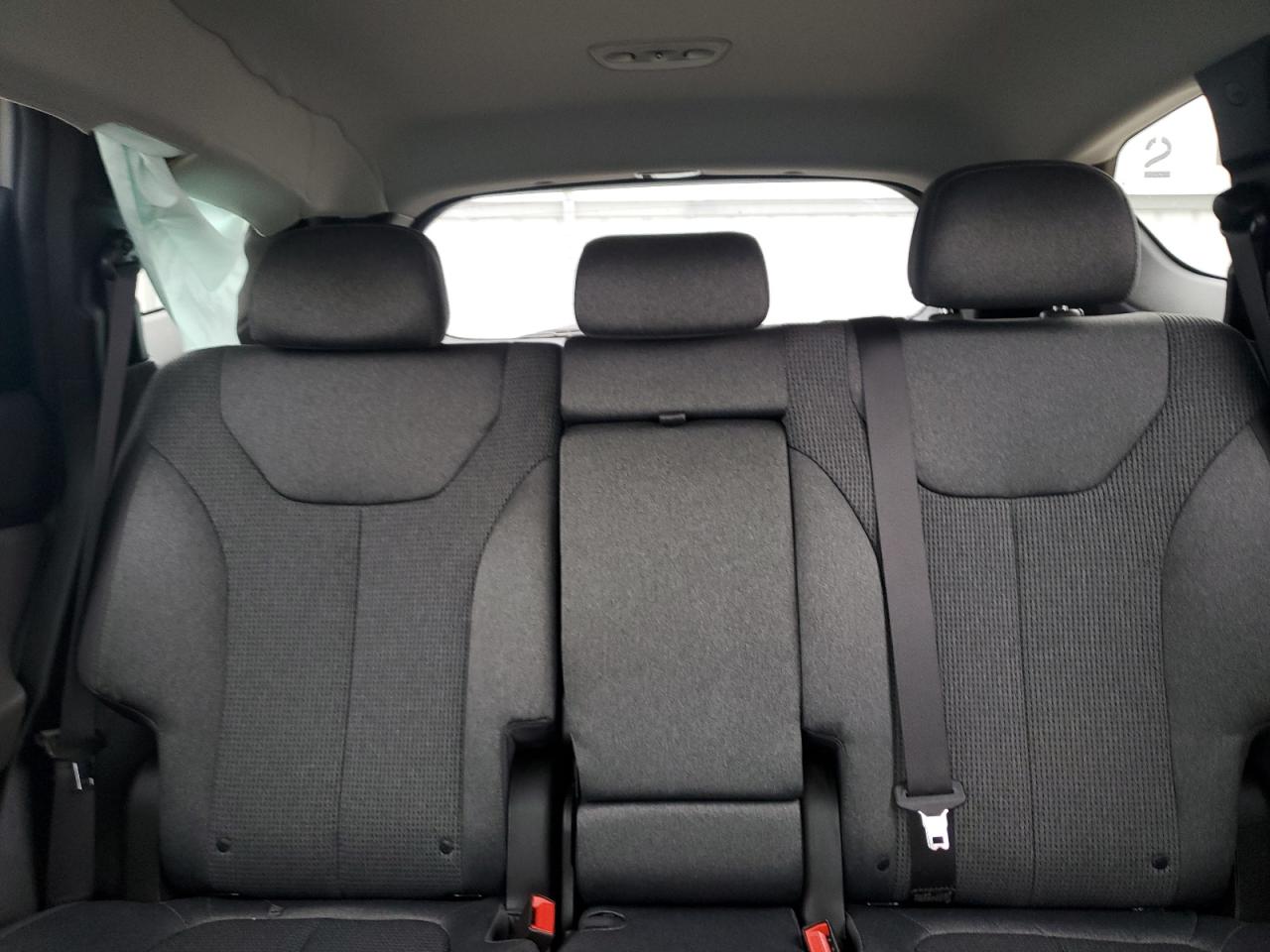 2020 Hyundai Santa Fe Sel VIN: 5NMS3CAD7LH272116 Lot: 63349965