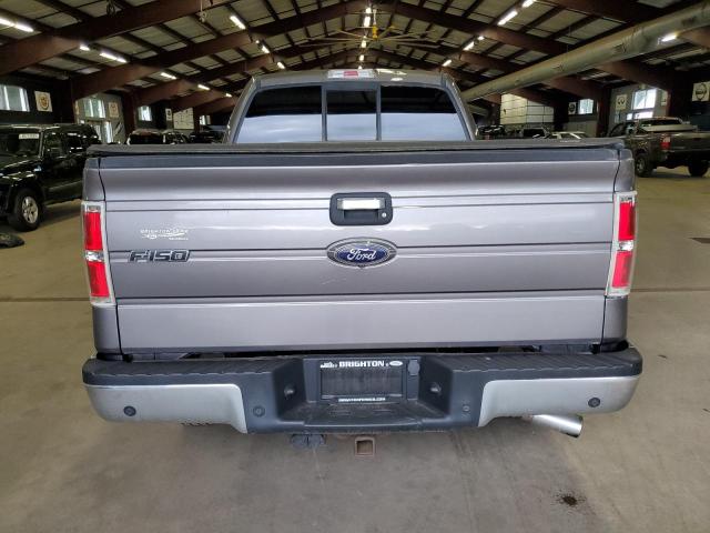 Pickups FORD F-150 2014 Szary