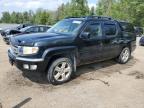 2009 HONDA RIDGELINE RTL   for sale at Copart ON - COOKSTOWN