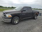 2011 DODGE RAM 1500    à vendre chez Copart ON - OTTAWA