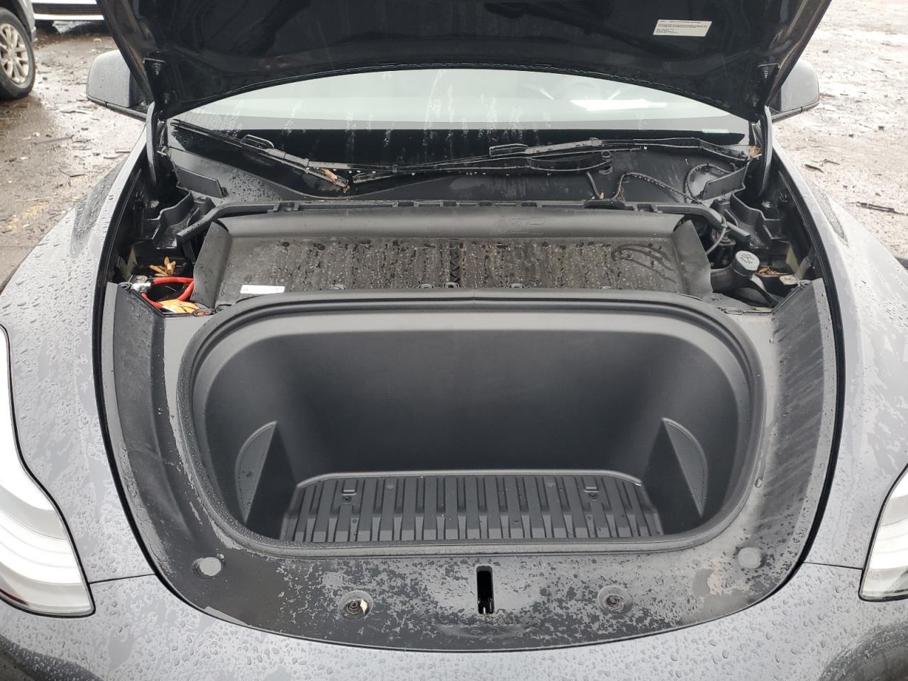 2024 Tesla Model Y VIN: 7SAYGDEE4RF029643 Lot: 66671295