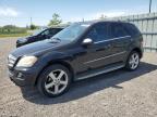 2010 MERCEDES-BENZ ML 350 4MATIC   à vendre chez Copart ON - OTTAWA
