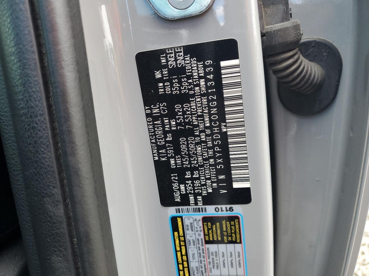 2022 Kia Telluride Sx VIN: 5XYP5DHC0NG213439 Lot: 63506675