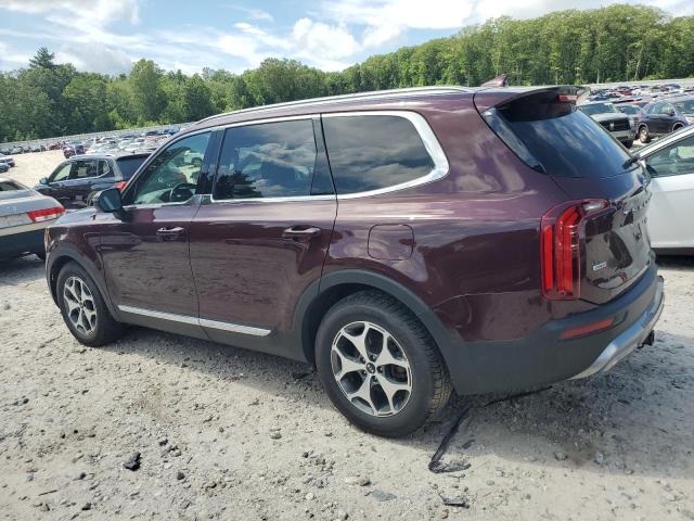  KIA TELLURIDE 2020 Burgundy