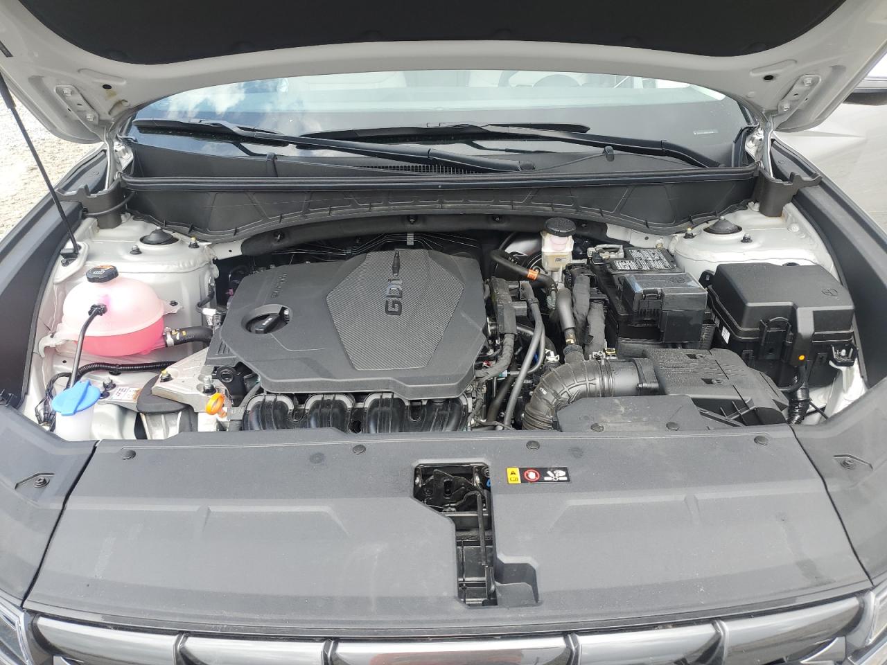 2024 Hyundai Tucson Sel VIN: 5NMJF3DE3RH356532 Lot: 64841665
