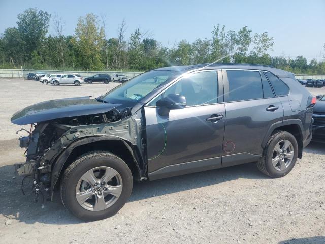  TOYOTA RAV4 2024 Gray
