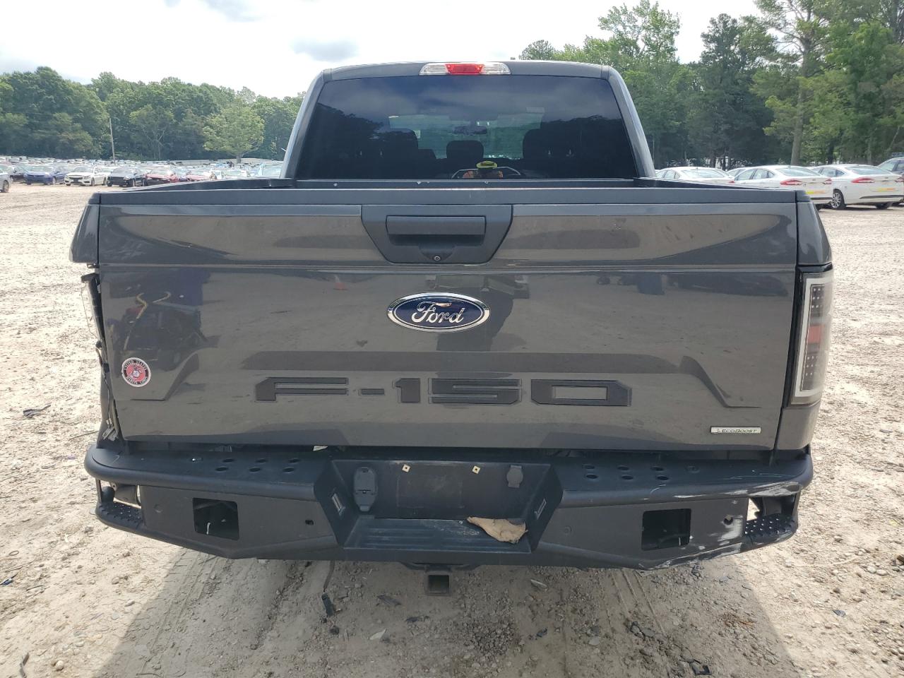 2020 Ford F150 Supercrew VIN: 1FTEW1CP1LFC45989 Lot: 60812845
