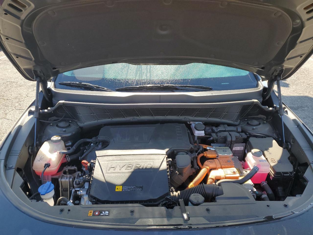 2024 Kia Niro Ex VIN: KNDCR3LE1R5184053 Lot: 63056505
