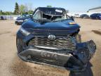 2019 TOYOTA RAV4 LE   for sale at Copart ON - TORONTO