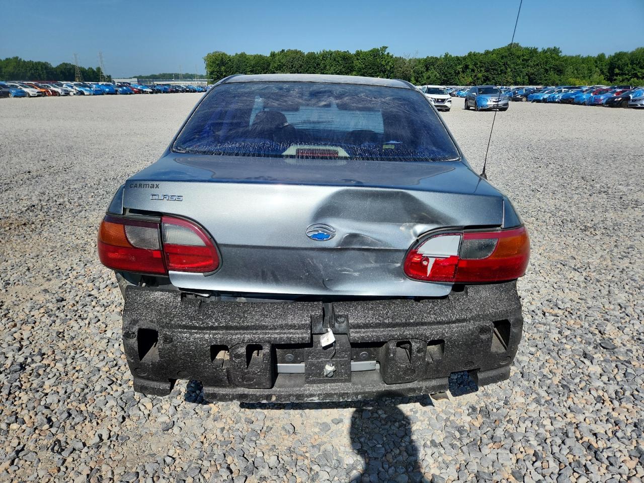 2005 Chevrolet Classic VIN: 1G1ND52F25M211203 Lot: 64250435