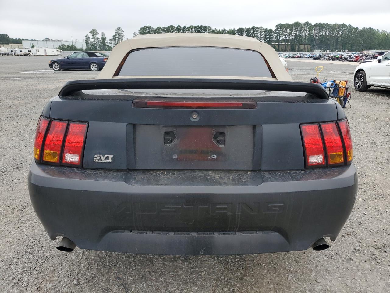 1999 Ford Mustang Cobra Svt VIN: 1FAFP46V9XF180611 Lot: 64097245